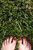 A woman's feet with red toenails in the grass