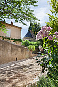 Mediterranean summer idyll: roses lining the path to an old house