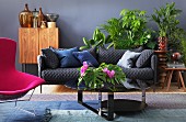 Grey couch, blue scatter cushions and hot pink armchair amonst various houseplants in living area