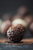 Trüffelpraline mit Kakaopulver