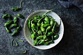 Padron peppers