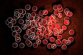 Red Blood Cells, artwork