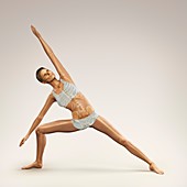 Yoga Side Angle Pose, artwork