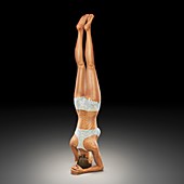 Yoga Headstand Pose, artwork