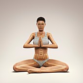 Yoga Meditation Pose, artwork