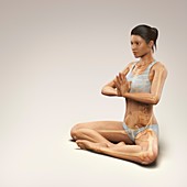 Yoga Meditation Pose, artwork