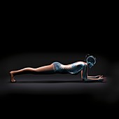 Yoga Dolphin Plank Pose, artwork