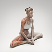 Yoga Bound Angle Pose, artwork