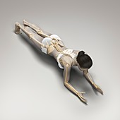 Yoga Dolphin Plank Pose, artwork