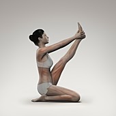 Yoga Heron Pose, artwork