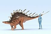 Kentrosaurus Dinosaur, artwork