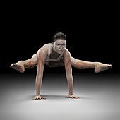 Yoga Firefly Pose, artwork