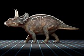 Diceratops Dinosaur, artwork
