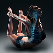 Yoga Bow Pose, artwork