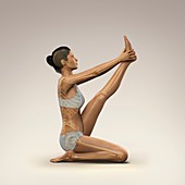 Yoga Heron Pose, artwork