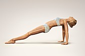 Yoga Upward Plank Pose, artwork