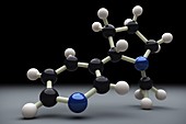 Nicotine Molecular Structure Model