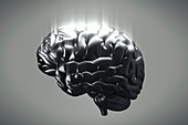 Metallic Brain, artwork