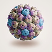 Simian Immunodeficiency Virus, artwork