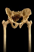 Hip Bones (Male), artwork