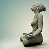 Meditation Pose, artwork