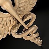 Caduceus, artwork