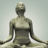 Meditation Pose, artwork