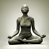 Meditation Pose, artwork