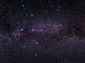 Constellation of Cygnus