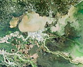 New Orleans, USA, satellite image