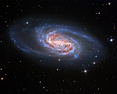 Barred spiral galaxy NGC 2903, optical image