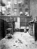 Tenement dwellings, New York, USA, 1912