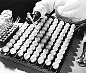 Egg-based virus research, 1947