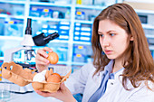 Woman testing eggs in food quality control laboratory