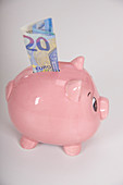 Piggy bank with a twenty euro note