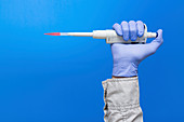 Person wearing latex glove holding pipette