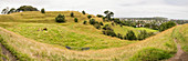 Grassy hills, Auckland, New Zealand