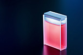 Cuvette containing red sample