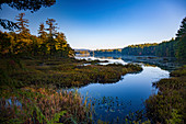 Lake and forest, New Hampshire, USA