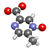 Acipimox molecule, illustration