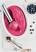Homemade bilberry ice cream and scooper in mold served with fresh berries, silver spoons