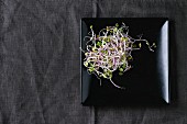 Fresh Radish Sprouts on black square plate over dark gray textile