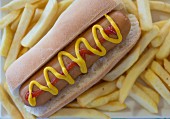 Hot dog and fries