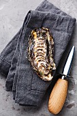 Open Oyster and oyster knife on gray napkin background