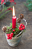 Tontopf mit Moos, Kerze, Ilex und Lärchenzapfenzweig als Weihnachtsdeko