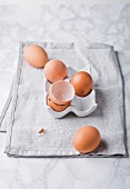 Eggs and eggshells