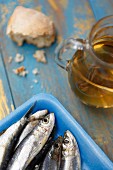 Fresh sardines in a blue Styrofoam dish with olive oil and bread