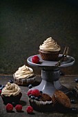 Chocolate cupcakes with butter coffee cream and fresh berries over dark background