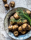 Fresh new potatoes with dill
