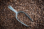 Coffee beans with a metal scoop